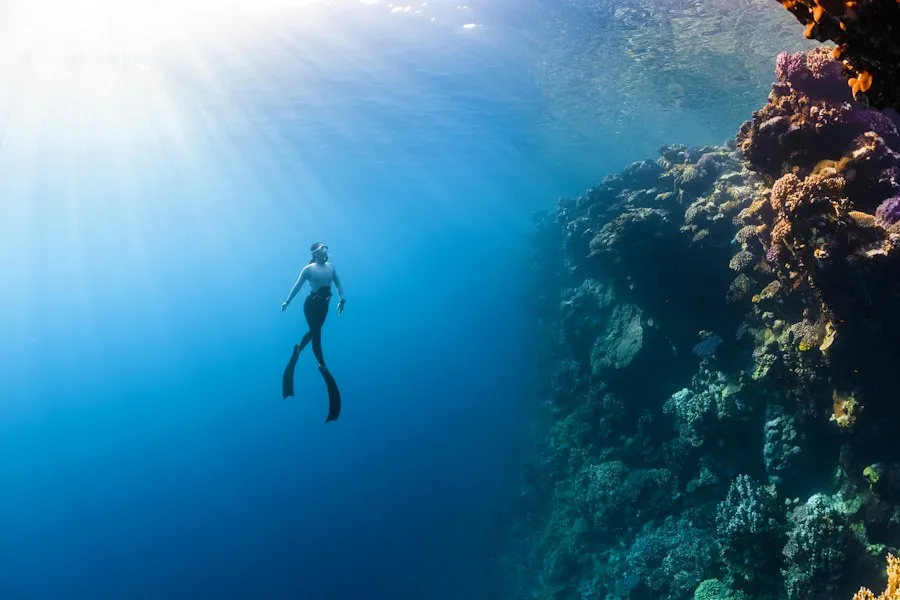 Diver underwater